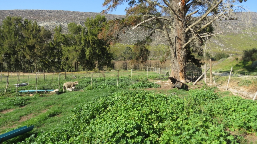 Commercial Property for Sale in Swellendam Rural Western Cape
